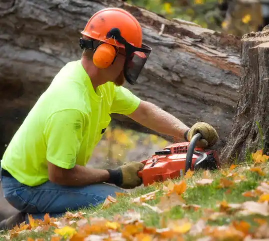 tree services Edgeley